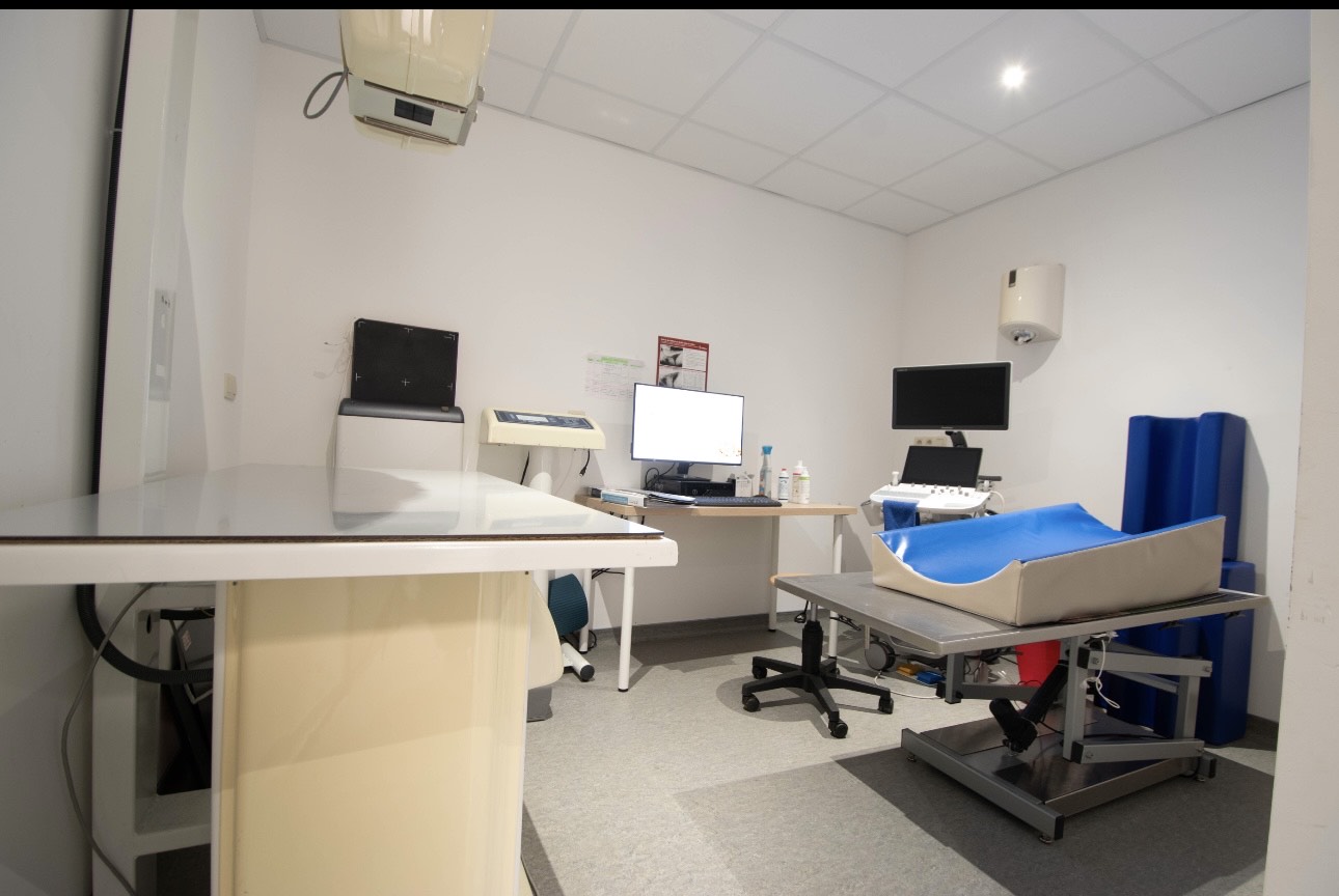 Centre Vétérinaire des 2 Ourthes - radiologie et échographie